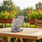Verlo Standing Rainfrog Figurine