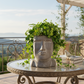 Jazlyn Cement Easter Island Head Pot