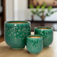 Aven Blossom Ceramic Planter Set (Set of 3)
