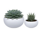 Nia Fiberglass Bowl Planter Set (Set of 2)
