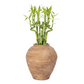 Dewi Handcrafted Rustic Planter