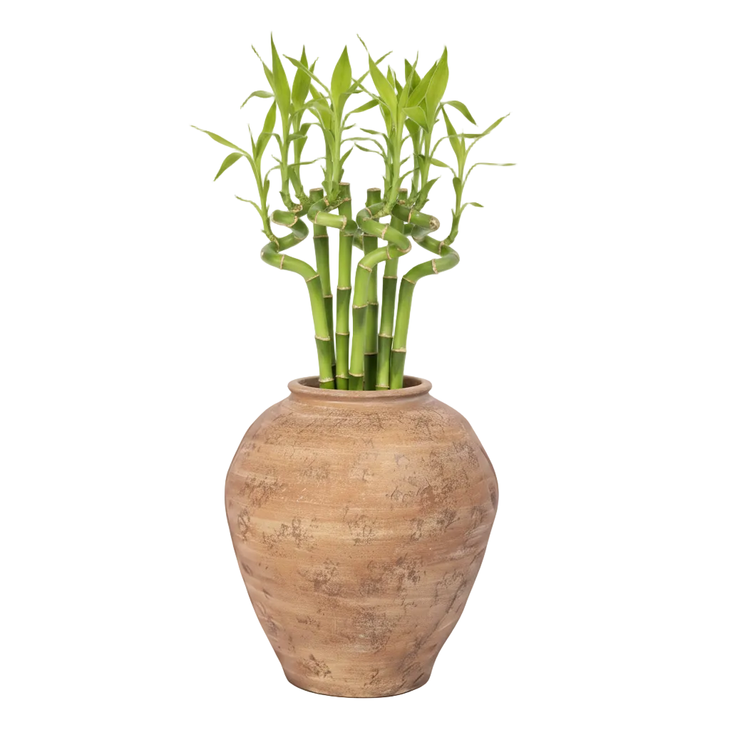 Dewi Handcrafted Rustic Planter