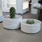 Mylana Textured Cylindrical Ceramic Planter (Set of 2)
