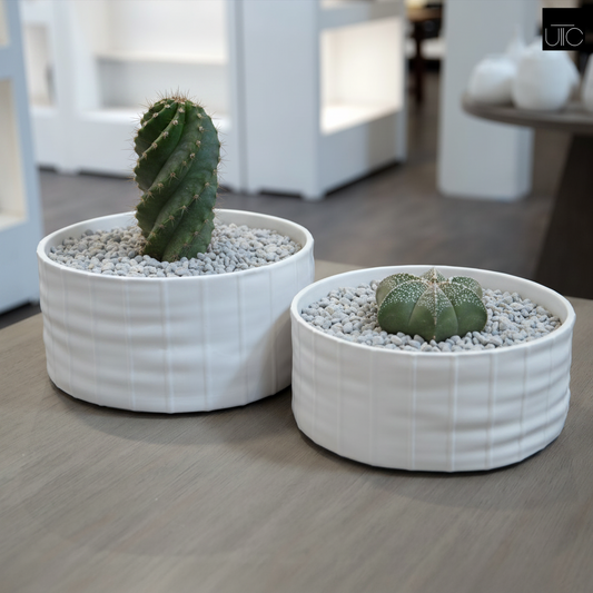 Mylana Textured Cylindrical Ceramic Planter (Set of 2)