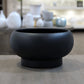 Raz Mushroom Compote Terracotta Planter