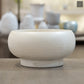 Raz Mushroom Compote Terracotta Planter