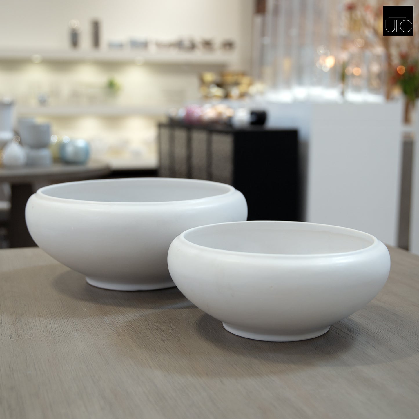 Valeriya Shallow Ceramic Planter Set (Set of 2)