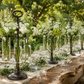 Verrian Hanging Bud Vase Holder