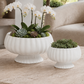 Pavin Off-White Matte Compote Planters
