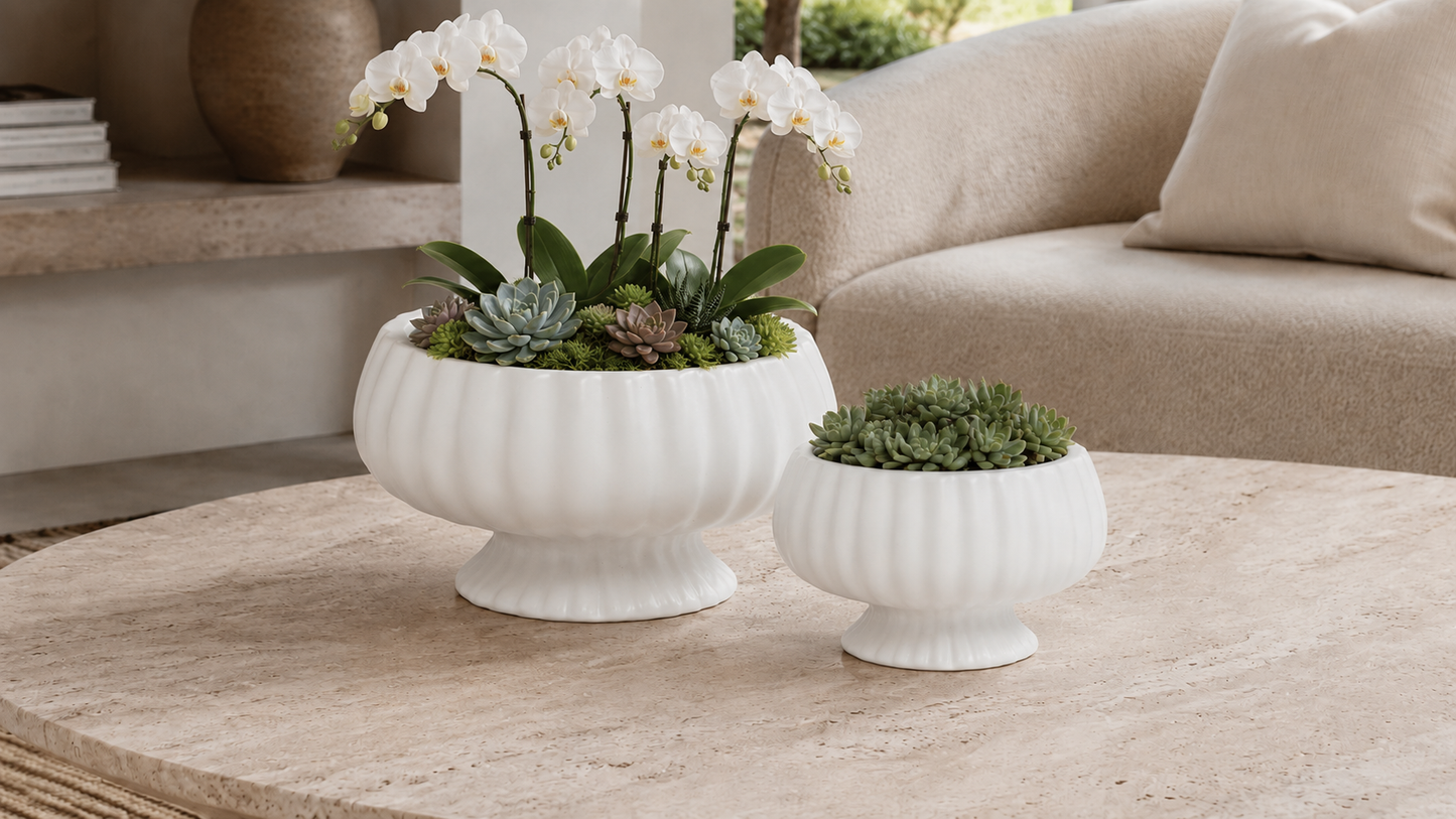 Pavin Off-White Matte Compote Planters