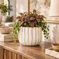 A white ceramic planter with vertical gold stripes, filled with green and pink variegated foliage, displayed on a wooden console table in a modern living room setting.