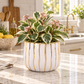 A variegated houseplant with green and cream leaves and small pink flowers, arranged in a white ceramic planter with vertical gold stripes, set on a marble kitchen countertop.