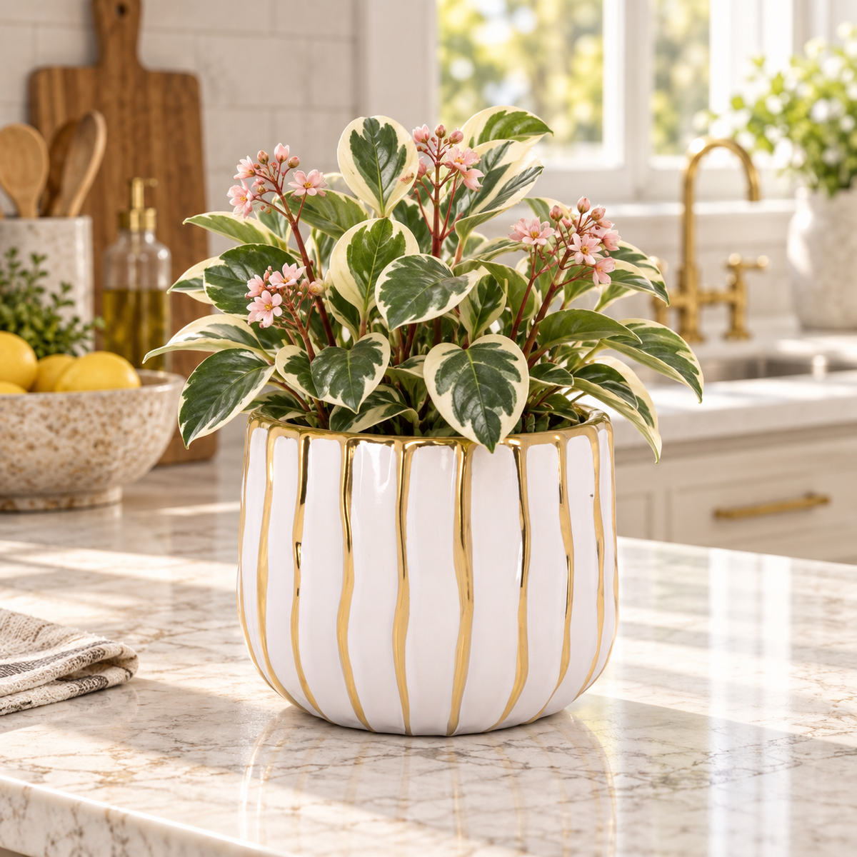 A variegated houseplant with green and cream leaves and small pink flowers, arranged in a white ceramic planter with vertical gold stripes, set on a marble kitchen countertop.