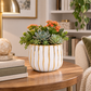 A white ceramic planter with vertical gold stripes, filled with green succulents and orange flowers, set on a wooden table in a cozy living room setting.
