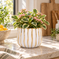 A variegated houseplant with green and cream leaves and small pink flowers, arranged in a white ribbed ceramic pot with gold vertical drips, set on a sunlit marble countertop in a kitchen.