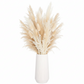Eriana Ceramic Round Cylinder Vase