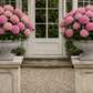 Pavion Low Classic Cement Urn Vase