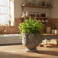 Dokia Handcrafted Pedestal Cement Planter
