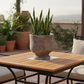 Dokia Handcrafted Pedestal Cement Planter