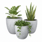 Azalea Handcrafted Cement Planter Set (Set of 3)