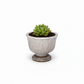 Sereia Pedestal Ceramic Planter with Layered Glaze
