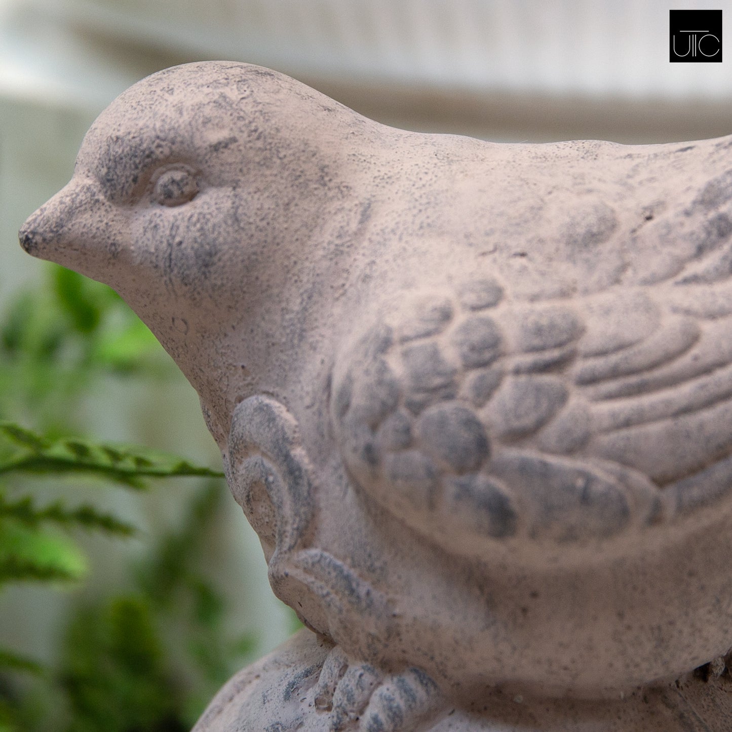 Jorlan Pedestal Bird Figurines (Set of 2)