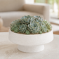 Mystique Ceramic Footed Bowl