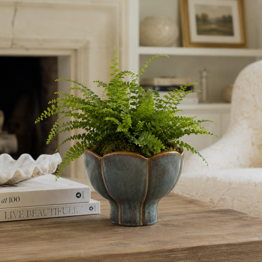 Vixen Scalloped Lotus Pedestal Ceramic Planter - Green