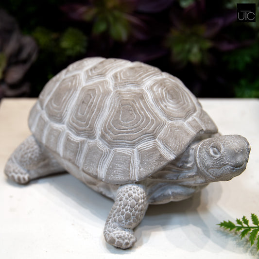 Tobin Standing Turtle Cement Figurine