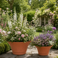 Piper Terracotta Round Planter Set (Set of 2)