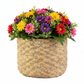 Marvella Terracotta Round Pot with Basket Weave Design