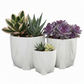 Myora Marble Tripod Planter Set (Set of 3)