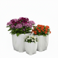 Myora Marble Tripod Planter Set (Set of 3)