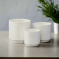 Lazora Ceramic Round Pot