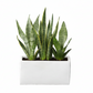 Vienne Rectangular Cement Pot