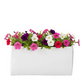 Vienne Rectangular Cement Pot