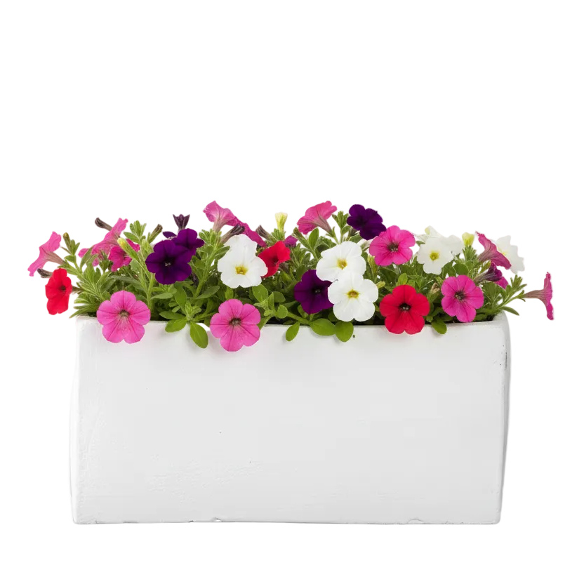 Vienne Rectangular Cement Pot