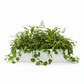 Vienne Rectangular Cement Pot