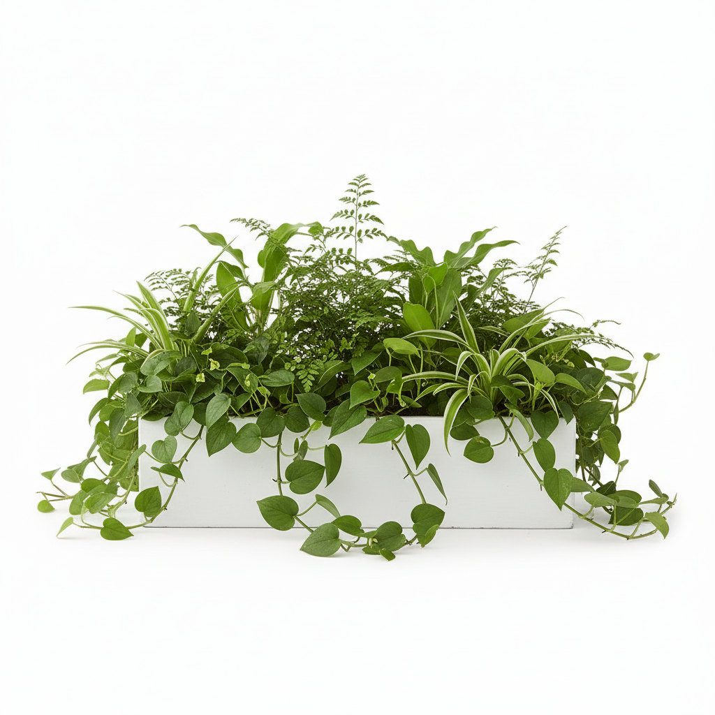Vienne Rectangular Cement Pot