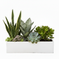 Vienne Rectangular Cement Pot