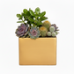 Vienne Rectangular Cement Pot