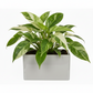Vienne Rectangular Cement Pot