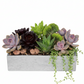 Vienne Rectangular Cement Pot