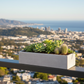 A rectangular concrete planter box filled with green succulents and a small cactus, placed on a dark metal balcony railing with a blurred coastal city and ocean background.