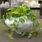Lana Faceted Ovoid Cement Vase