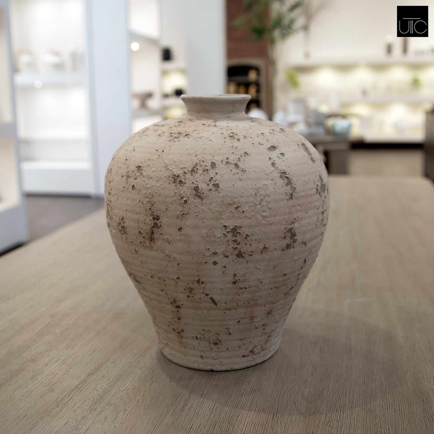 Lilya Weathered Ovoid Cement Vase