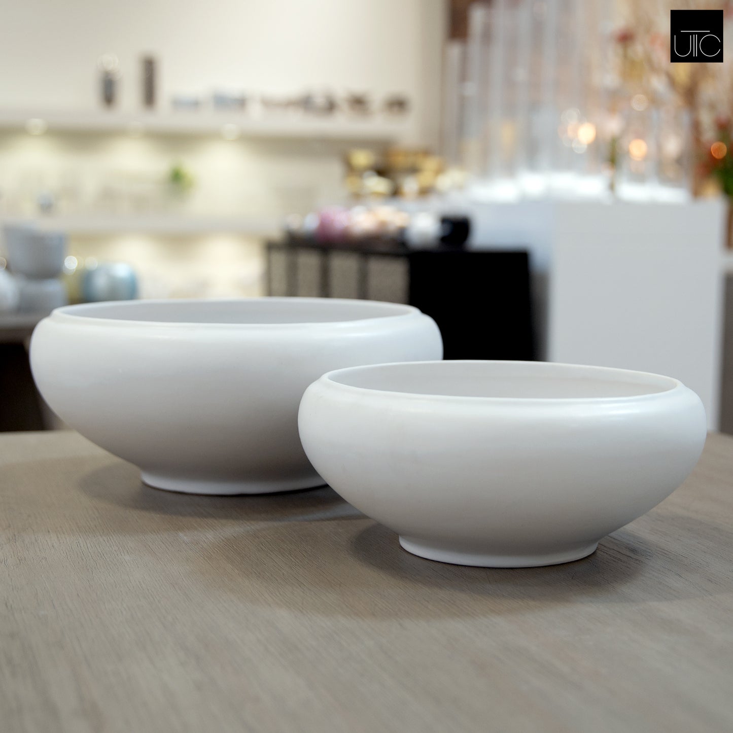 Valeriya Shallow Ceramic Planter Set (Set of 2)