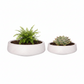 Derya Ceramic Bowl Planters with Lava Texture Finish (Set of 2)