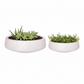 Derya Ceramic Bowl Planters with Lava Texture Finish (Set of 2)