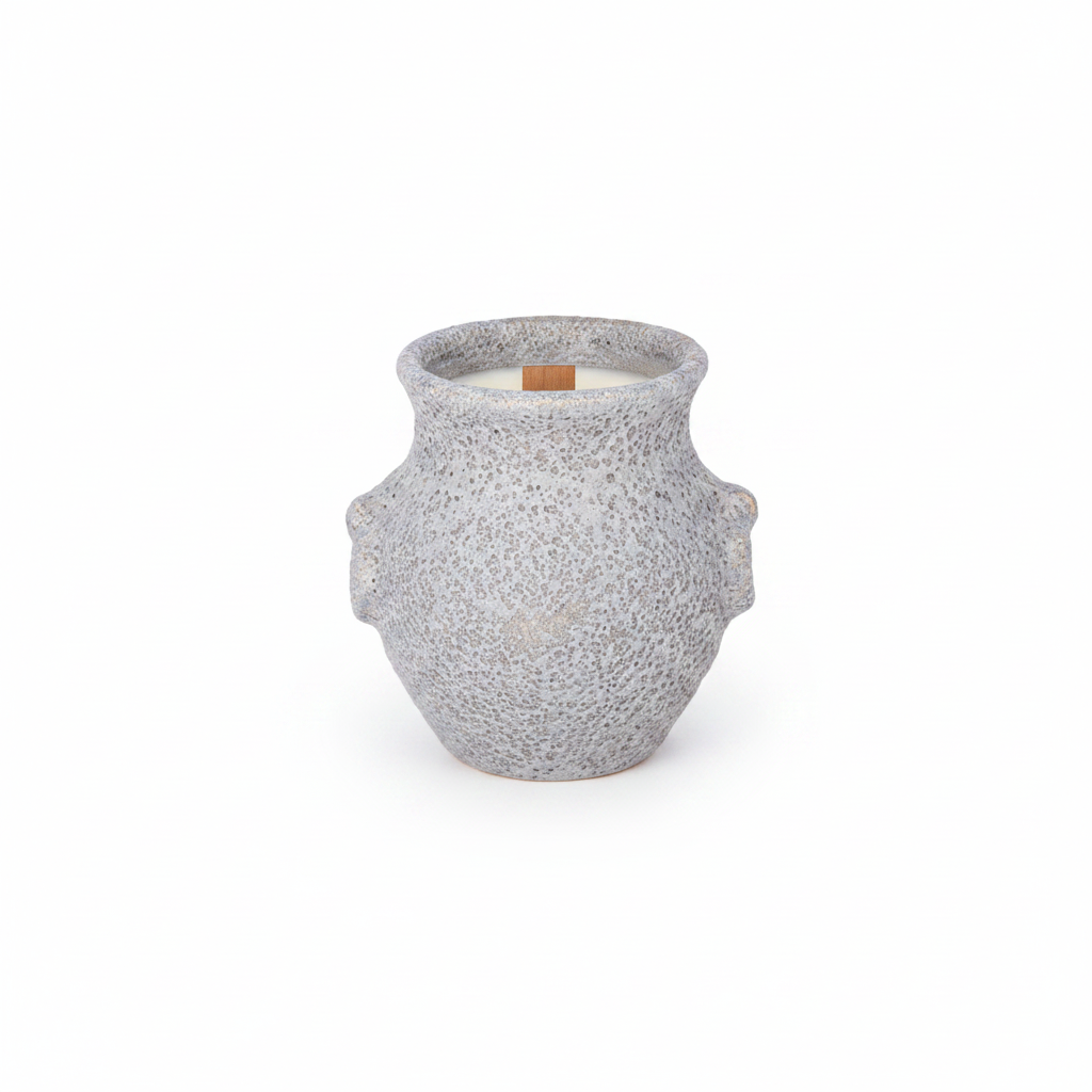 Silvania Ceramic Lava Texture Amphora Urn Vase with Decorative Loop Handles